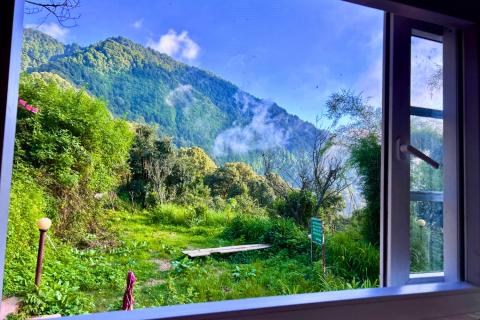 Birdsong Bungalow Pangot
